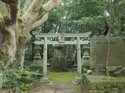 渡海神社の鳥居