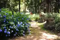 浄土寺(兵庫県)