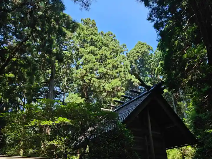 赤城神社(三夜沢町)(群馬県)