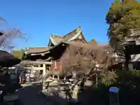 阿豆佐味天神社 立川水天宮(東京都)