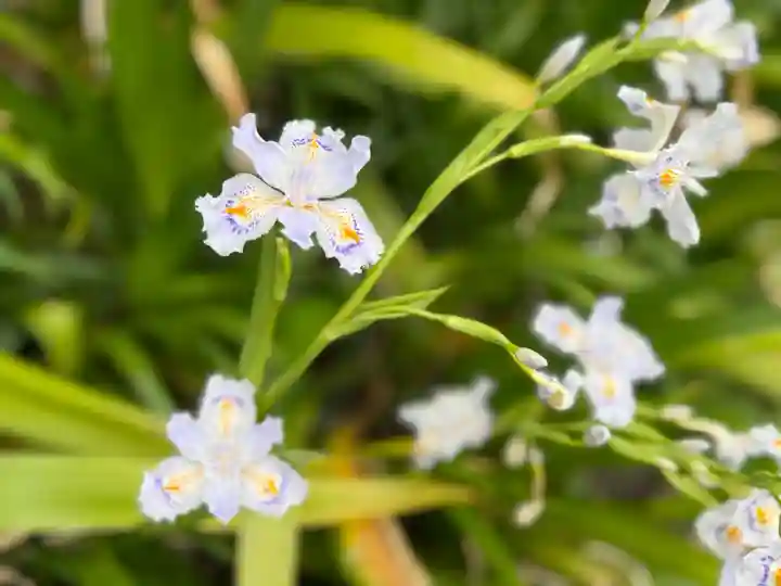 西方山極楽寺(岐阜県)