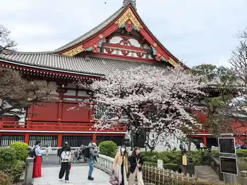 浅草神社の周辺