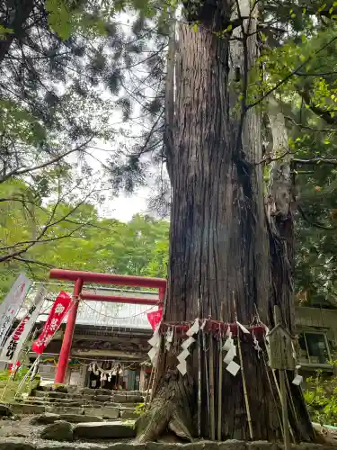 磐椅神社(福島県)