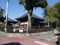 今宮坊の本殿・本堂