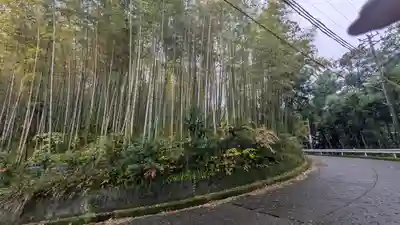若山神社(大阪府)