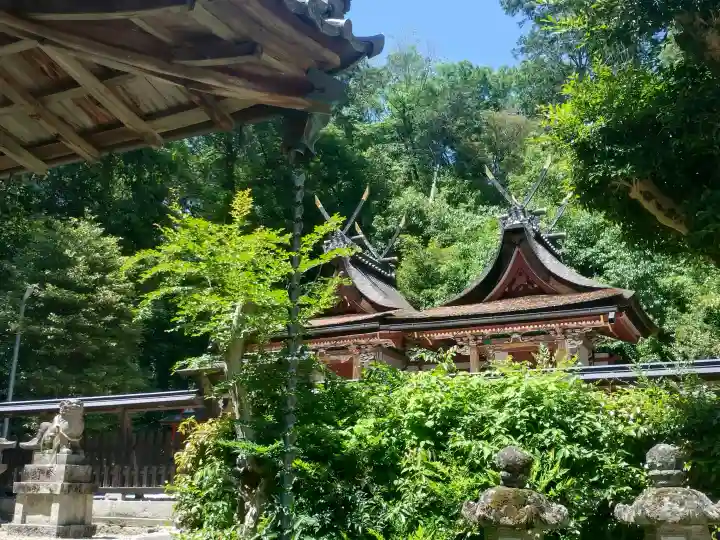 登彌神社の{uncategorized: "未分類", other: "その他", undefined: "問題あり", building: "その他建物", grave: "お墓", sacred_gate: "鳥居", guardian: "狛犬", statue: "像", buddha: "仏像", history: "歴史", nature: "自然", garden: "庭園", animal: "動物", pagoda: "塔", temizu: "手水舎", mountain_gate: "山門・神門", sanctuary: "本殿・本堂", subordinate: "末社・摂社", art: "芸術", scenery: "景色", jizo: "地蔵", ema: "絵馬", goshuin: "御朱印", omikuji: "おみくじ", items: "授与品その他", amulet: "お守り", goshuincho: "御朱印帳", eats: "食事", festival: "お祭り", votive_dance: "神楽", shichigosan: "七五三参", wedding: "結婚式", experience: "体験その他", initially: "初詣", around: "周辺", anti_infection: "感染症対策"}