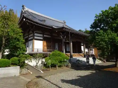 善教寺の本殿・本堂