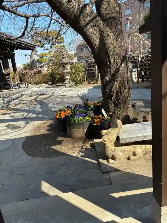 泥牛庵の{uncategorized: "未分類", other: "その他", undefined: "問題あり", building: "その他建物", grave: "お墓", sacred_gate: "鳥居", guardian: "狛犬", statue: "像", buddha: "仏像", history: "歴史", nature: "自然", garden: "庭園", animal: "動物", pagoda: "塔", temizu: "手水舎", mountain_gate: "山門・神門", sanctuary: "本殿・本堂", subordinate: "末社・摂社", art: "芸術", scenery: "景色", jizo: "地蔵", ema: "絵馬", goshuin: "御朱印", omikuji: "おみくじ", items: "授与品その他", amulet: "お守り", goshuincho: "御朱印帳", eats: "食事", festival: "お祭り", votive_dance: "神楽", shichigosan: "七五三参", wedding: "結婚式", experience: "体験その他", initially: "初詣", around: "周辺", anti_infection: "感染症対策"}