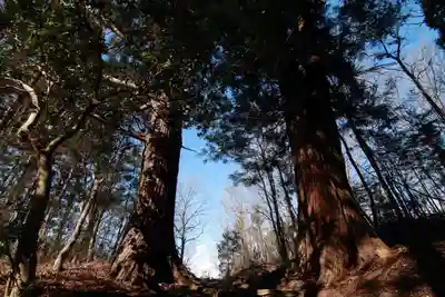 多賀神社の自然