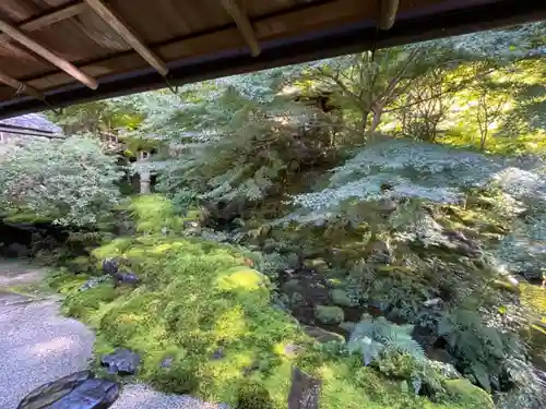 光明寺瑠璃光院の庭園