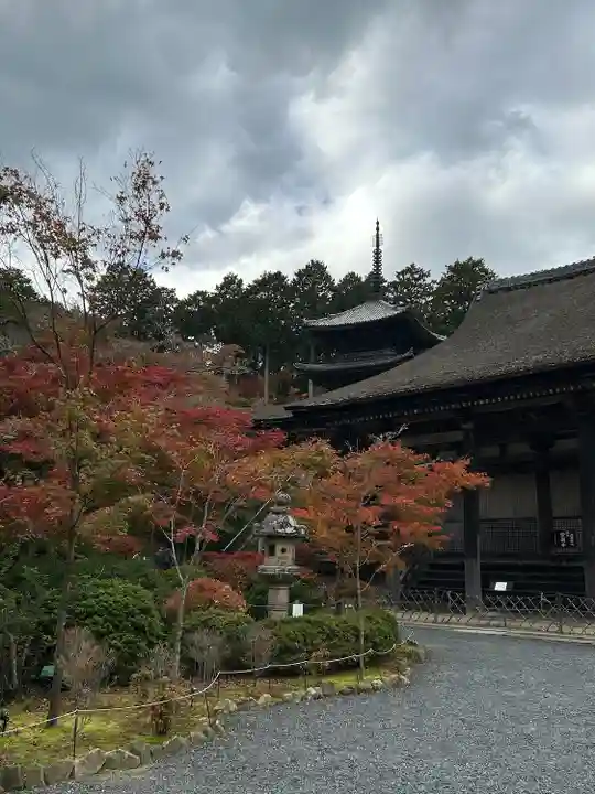 善水寺(滋賀県)