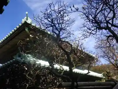 英勝寺の本殿・本堂