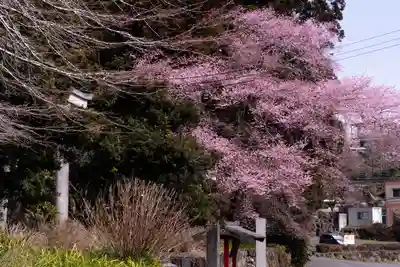 村山浅間神社(静岡県)