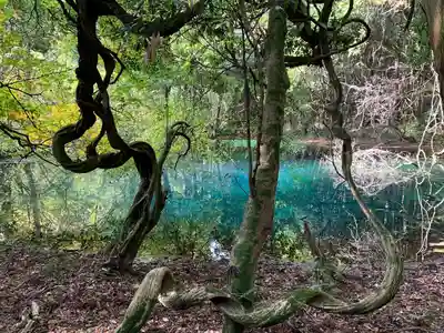丸池神社(山形県)