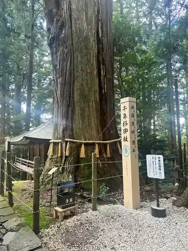 鷲子山上神社(栃木県)