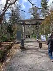 戸隠神社奥社(長野県)