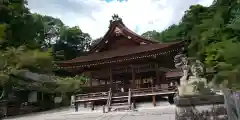 出雲大神宮の本殿