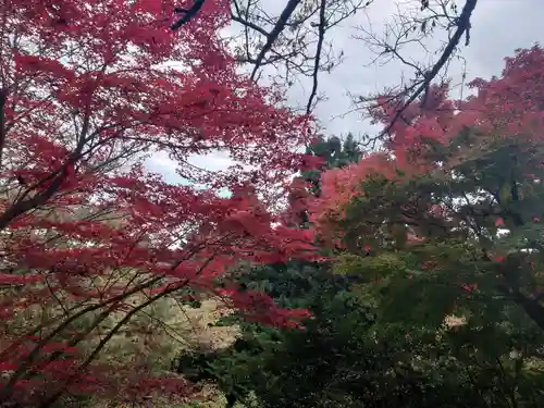 武蔵御嶽神社(東京都)