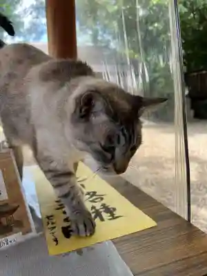 白鬚神社(宮崎県)