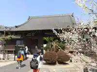 正法院の本殿・本堂