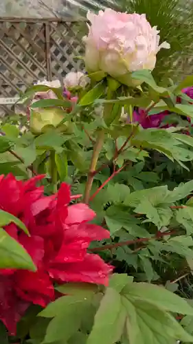 半木神社（賀茂別雷神社境外末社）(京都府)