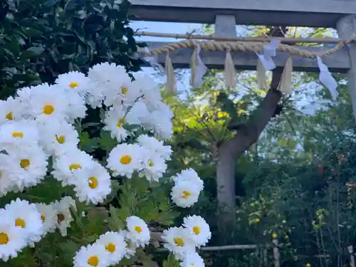 横浜御嶽神社の庭園