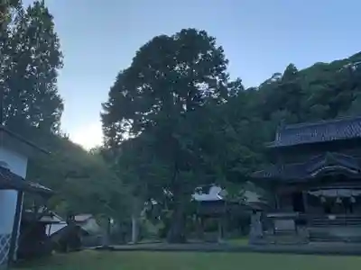 城上神社の自然