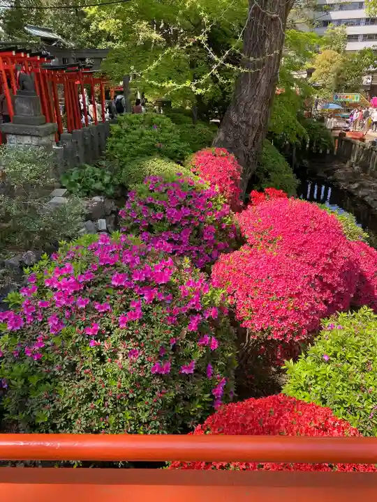 根津神社(東京都)
