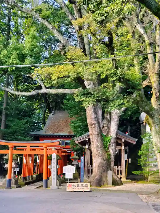 宇都宮二荒山神社(栃木県)