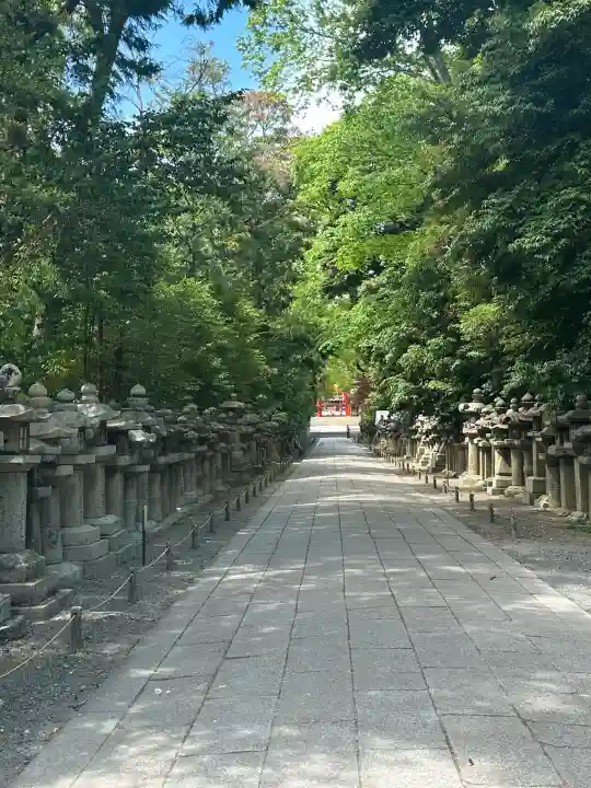 石清水八幡宮の{uncategorized: "未分類", other: "その他", undefined: "問題あり", building: "その他建物", grave: "お墓", sacred_gate: "鳥居", guardian: "狛犬", statue: "像", buddha: "仏像", history: "歴史", nature: "自然", garden: "庭園", animal: "動物", pagoda: "塔", temizu: "手水舎", mountain_gate: "山門・神門", sanctuary: "本殿・本堂", subordinate: "末社・摂社", art: "芸術", scenery: "景色", jizo: "地蔵", ema: "絵馬", goshuin: "御朱印", omikuji: "おみくじ", items: "授与品その他", amulet: "お守り", goshuincho: "御朱印帳", eats: "食事", festival: "お祭り", votive_dance: "神楽", shichigosan: "七五三参", wedding: "結婚式", experience: "体験その他", initially: "初詣", around: "周辺", anti_infection: "感染症対策"}