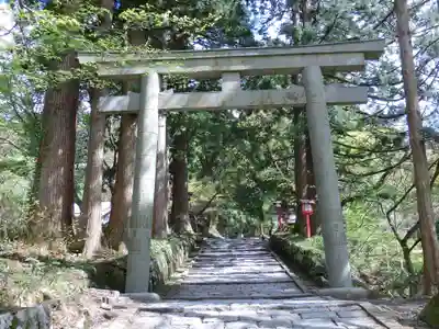 大神山神社奥宮の鳥居