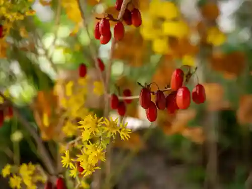 赤坂氷川神社(東京都)