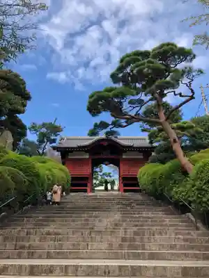 護国寺の山門・神門