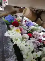 鳩森八幡神社(東京都)