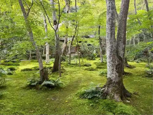 祇王寺(京都府)