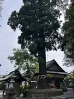 國魂神社の本殿・本堂