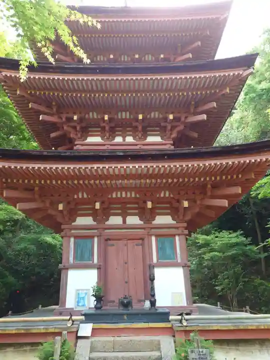 浄瑠璃寺(京都府)