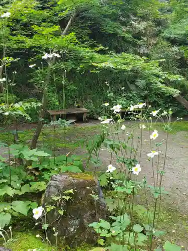 秩父札所三十二番　法性寺の自然