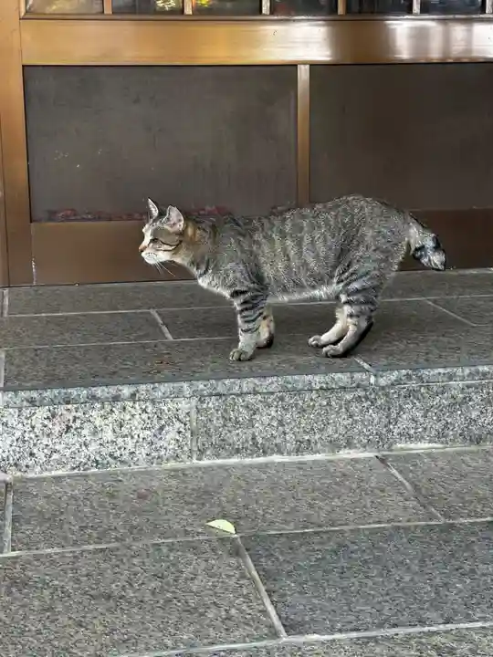 王子神社(徳島県)