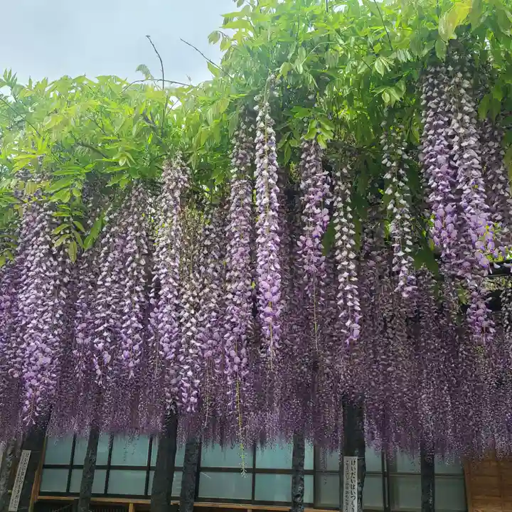 武蔵寺(福岡県)