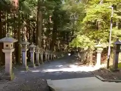 三峯神社(埼玉県)