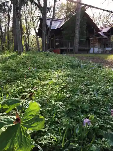 浦臼神社の自然