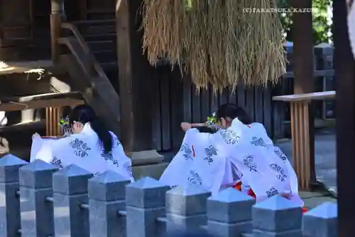 星川杉山神社(神奈川県)