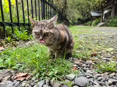 釋尊寺(長野県)