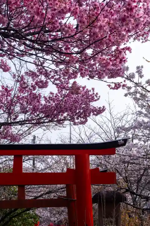 平野神社(京都府)