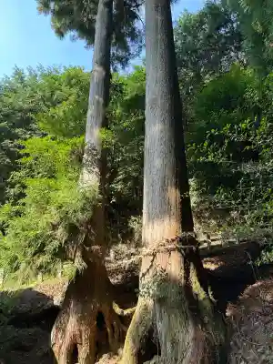 天一神社(奈良県)