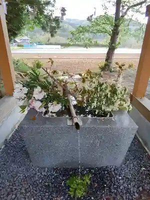 高司神社〜むすびの神の鎮まる社〜の手水舎