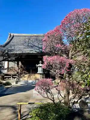 無量寺(東京都)