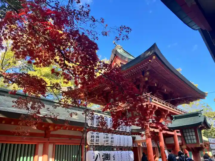 武蔵一宮氷川神社(埼玉県)
