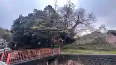 田部神社(奈良県)